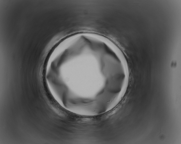 X0000100750151200807171420