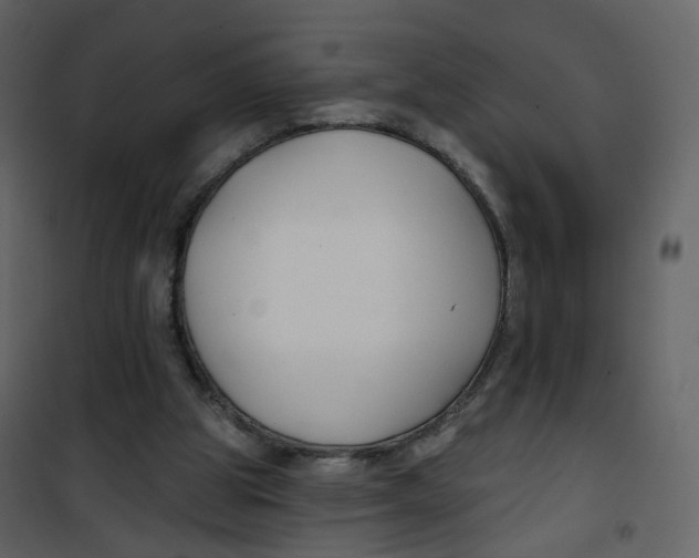 X0000100750153200807171420