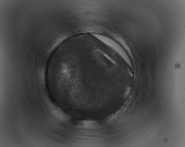 X0000100750154200807171420