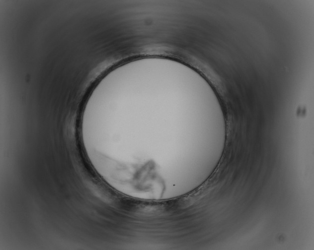 X0000100750155200807171420