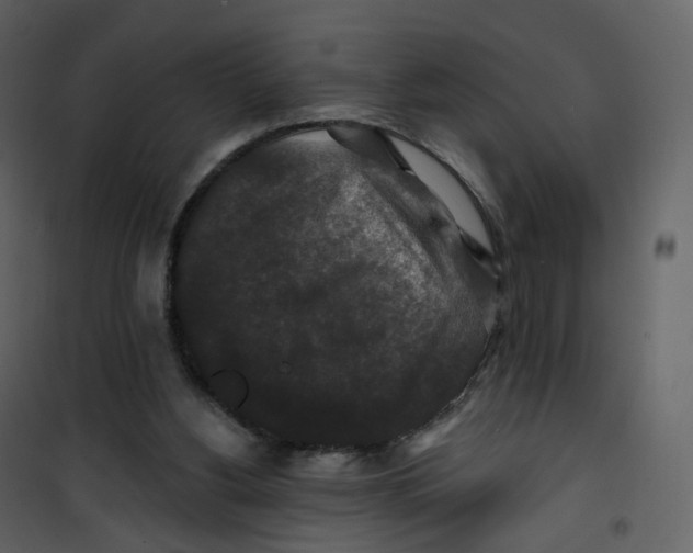 X0000100750156200807171420