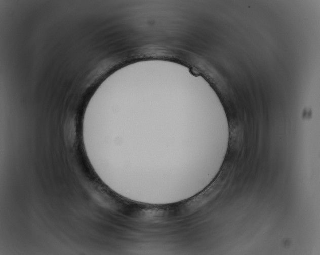 X0000100750158200807171420