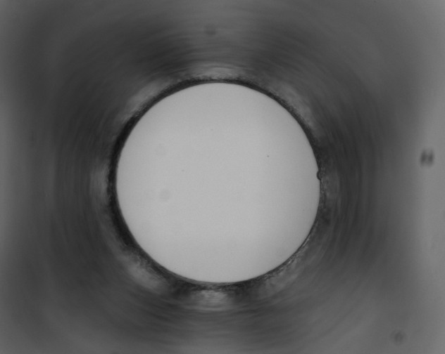 X0000100750159200807171420