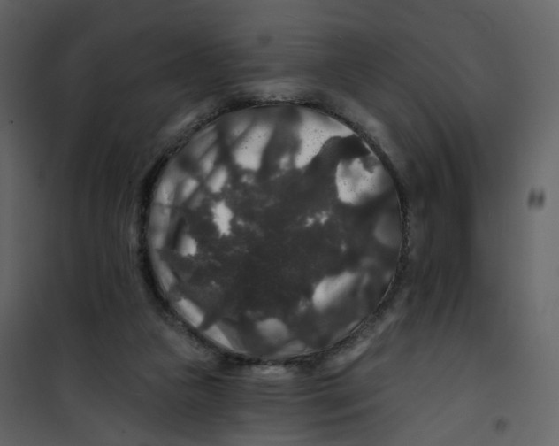 X0000100750161200807171420