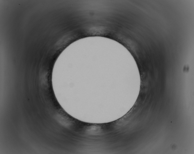 X0000100750162200807171420
