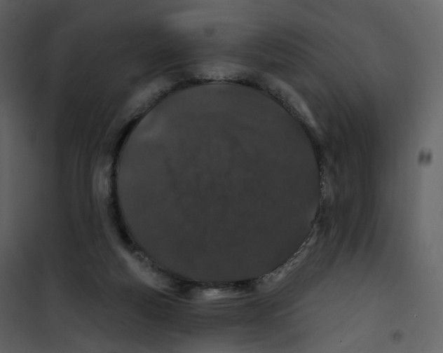 X0000100750163200807171420