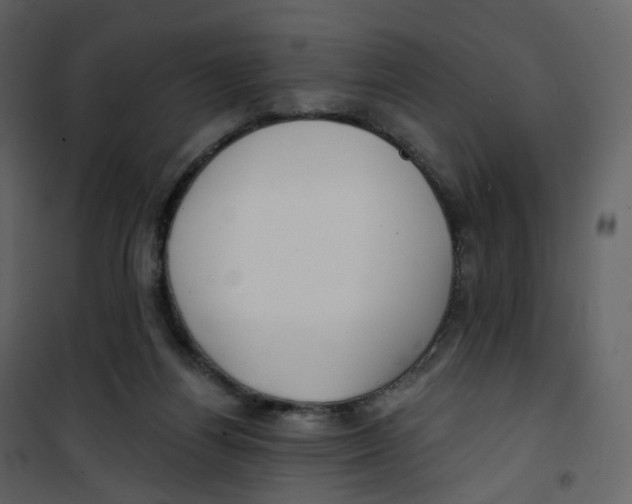 X0000100750164200807171420