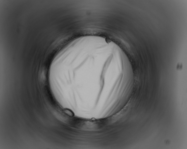 X0000100750166200807171420
