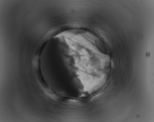 X0000100750167200807171420