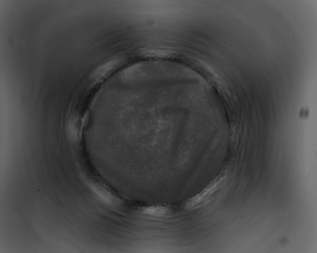 X0000100750168200807171420