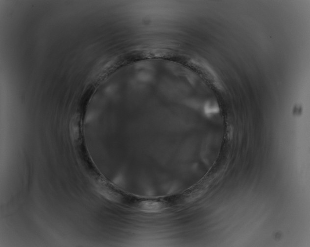X0000100750169200807171420