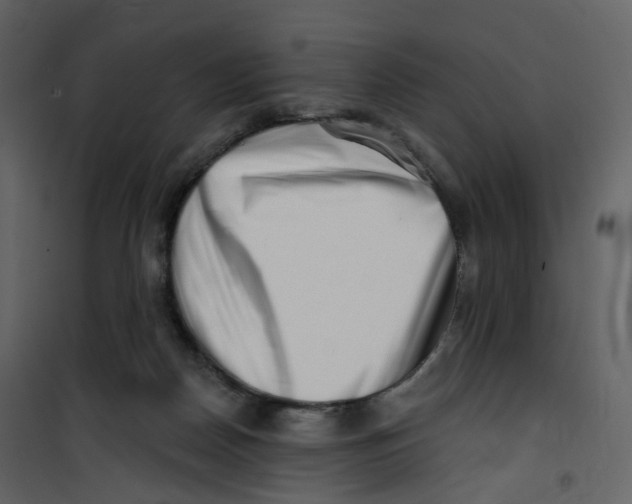X0000100750170200807171420