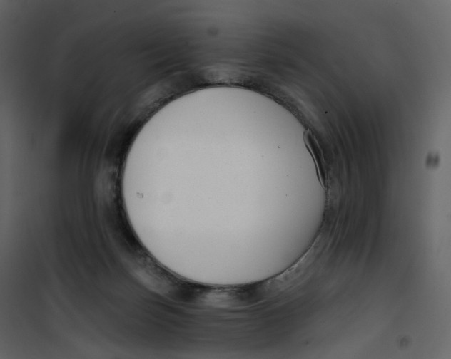 X0000100750171200807171420