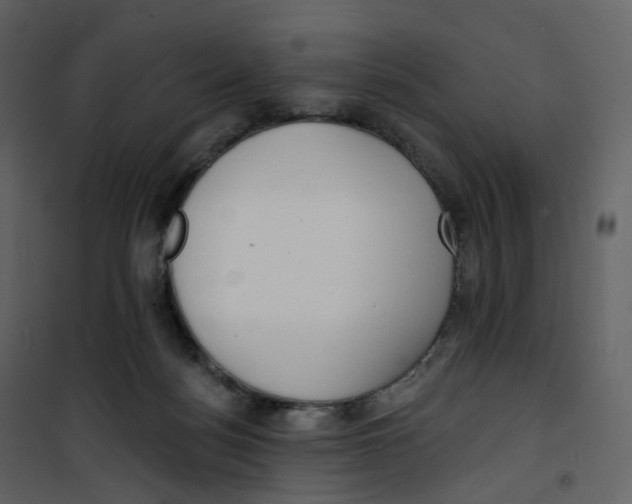 X0000100750172200807171420