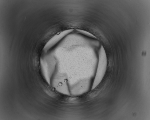 X0000100750173200807171420