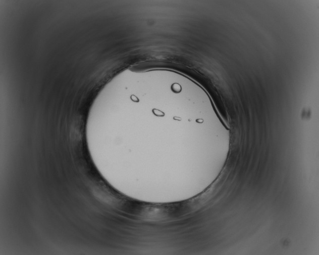 X0000100750174200807171420