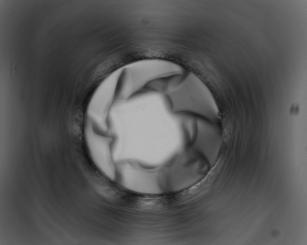 X0000100750175200807171420