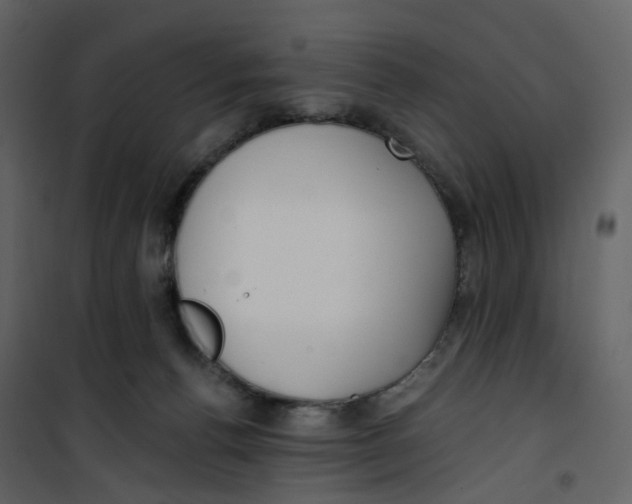 X0000100750176200807171420