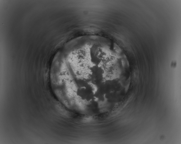 X0000100750177200807171420