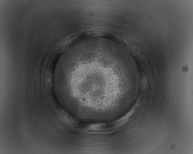 X0000100750178200807171420