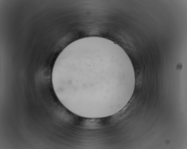 X0000100750179200807171420