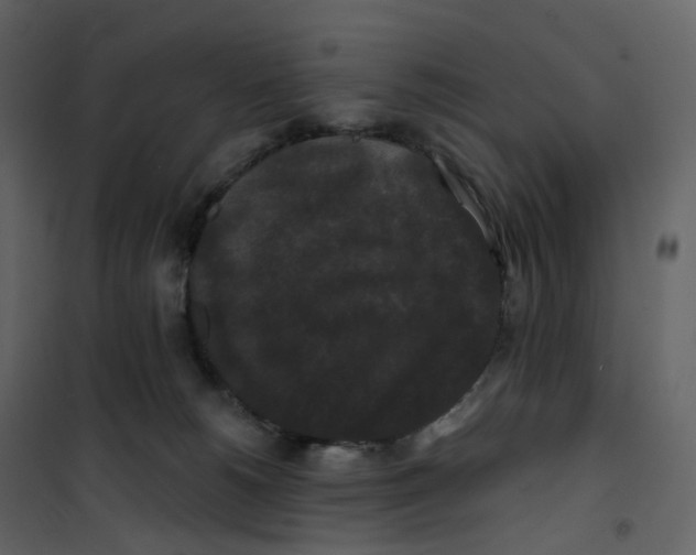 X0000100750180200807171420