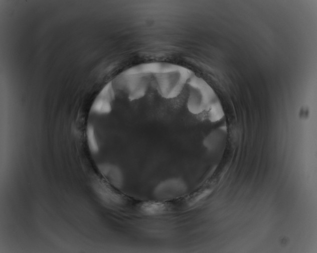 X0000100750181200807171420