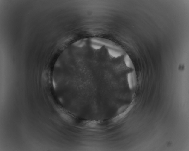 X0000100750182200807171420