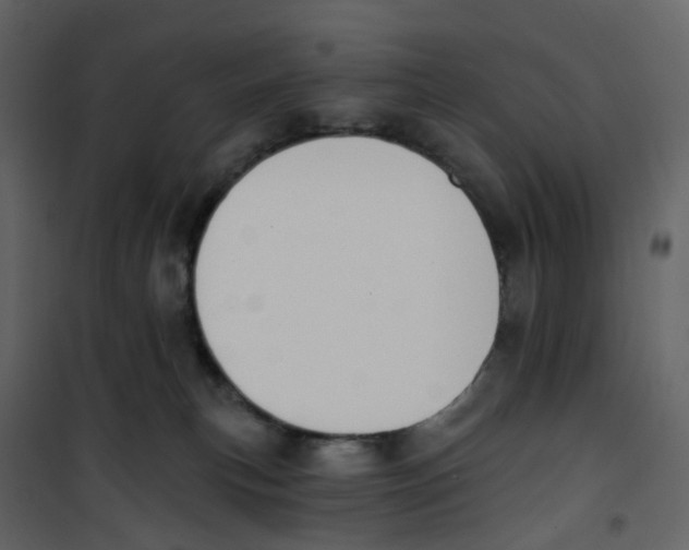 X0000100750183200807171420