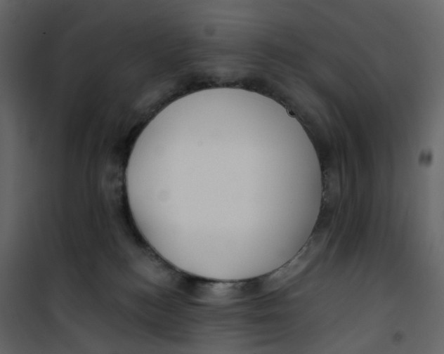X0000100750184200807171420