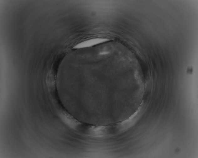 X0000100750186200807171420