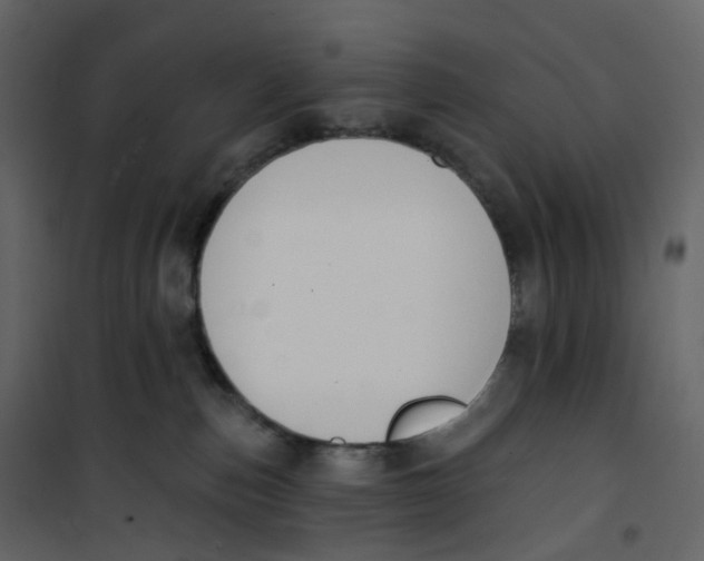 X0000100750187200807171420