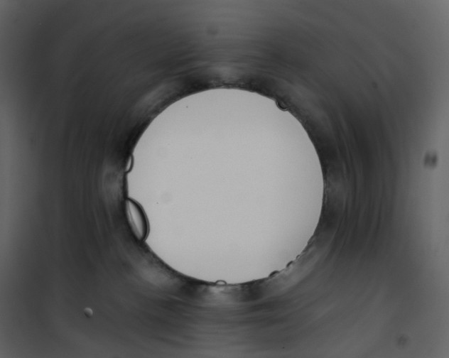 X0000100750188200807171421