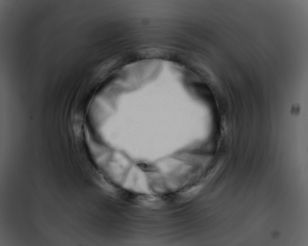 X0000100750189200807171421