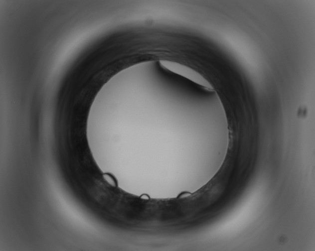 X0000100750190200807171421