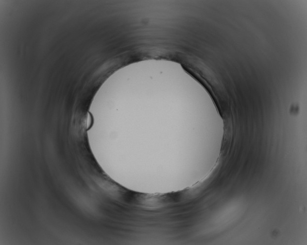 X0000100750191200807171421