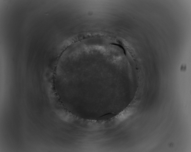 X0000100750192200807171421