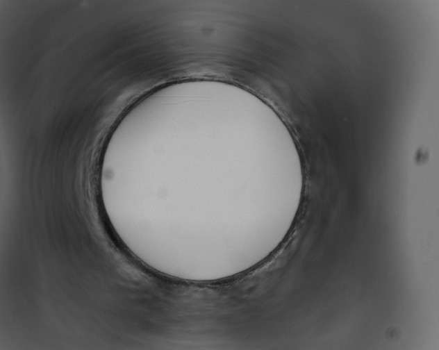 X0000100750193200807171420