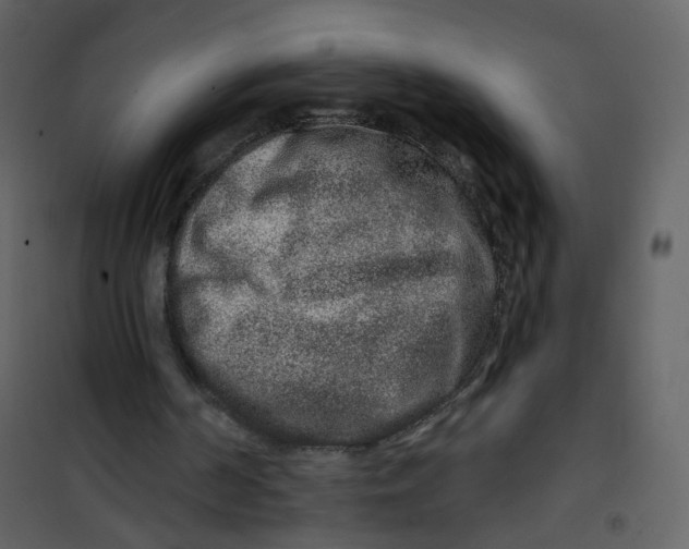 X0000100750194200807171420