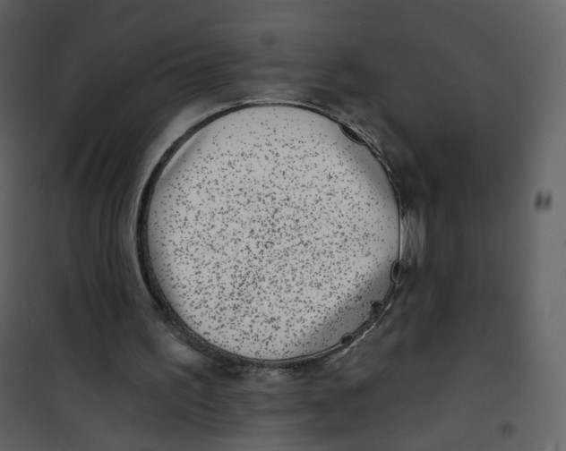 X0000100750195200807171420