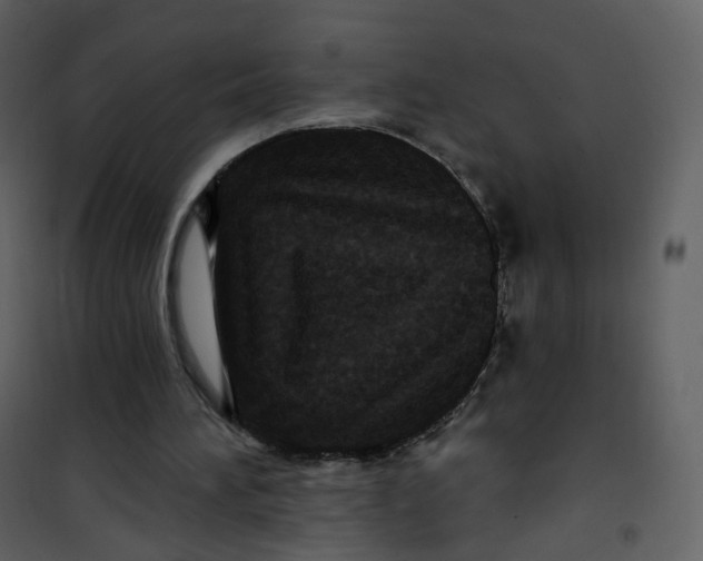 X0000100750196200807171420