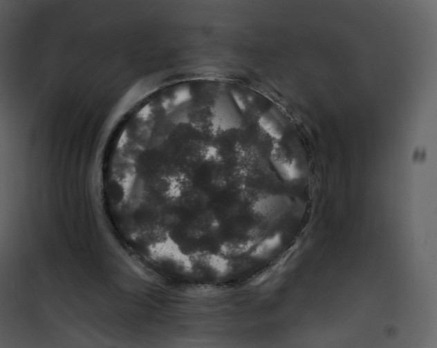 X0000100750198200807171420