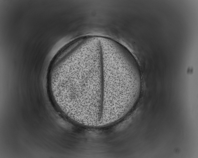 X0000100750199200807171420