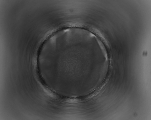 X0000100750202200807171420