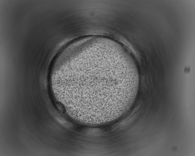 X0000100750203200807171420