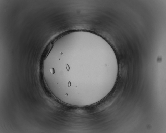 X0000100750204200807171419