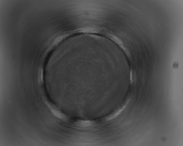 X0000100750205200807171419