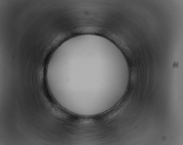 X0000100750206200807171419