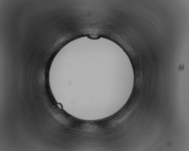 X0000100750207200807171419