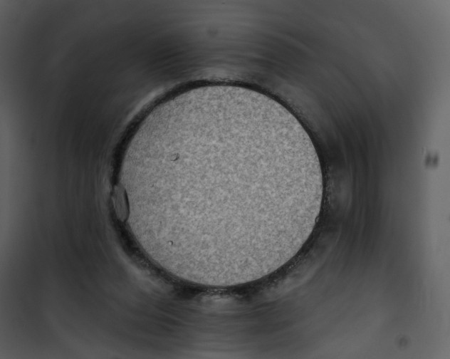 X0000100750208200807171419